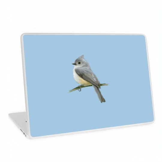 Discover cute bird Laptop Skins
