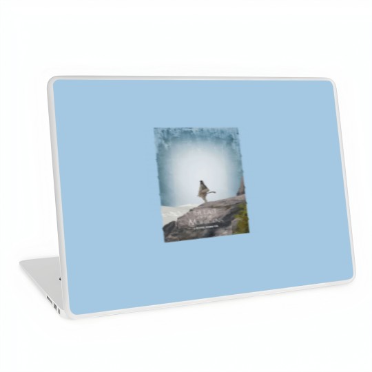 Discover The Last Of The Mohicans Laptop Skins