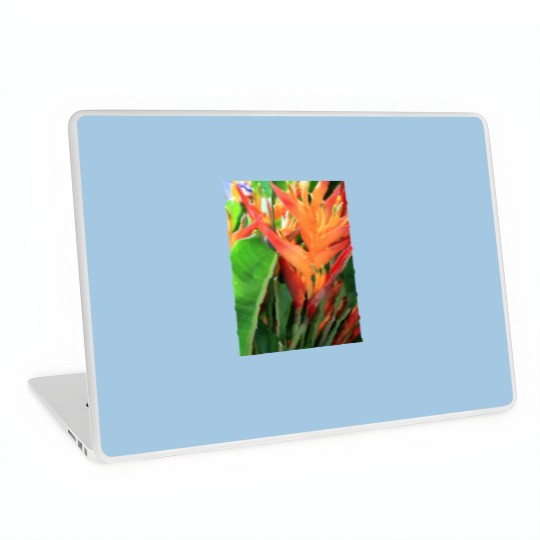 Discover Brilliant Tropical Heliconia Florals Laptop Skins