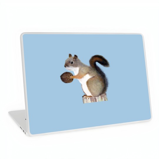 Discover Squirrel Sweat Laptop Skins