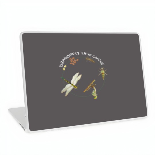 Discover Dragonfly Life Cycle Facts 3 Stages Insect Development Laptop Skins