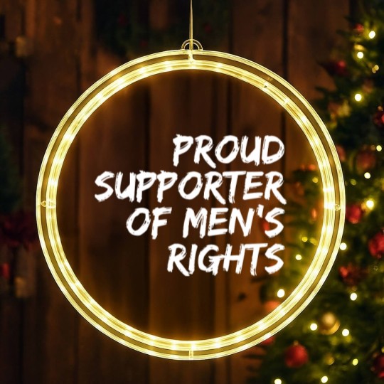 Discover International Men's Day LED Christmas Window Lights