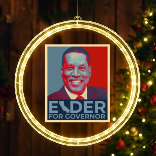 Discover Fam Wix Elder for Governor Hope LED Christmas Window Lights