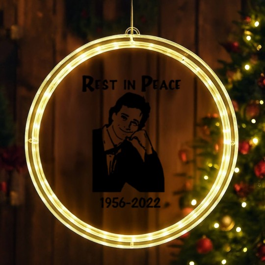 Discover RIP Bob Saget Full House LED Christmas Window Lights