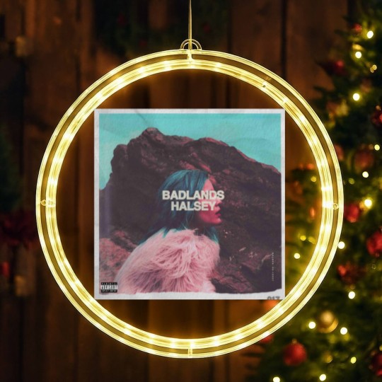Discover Halsey LED Christmas Window Lights