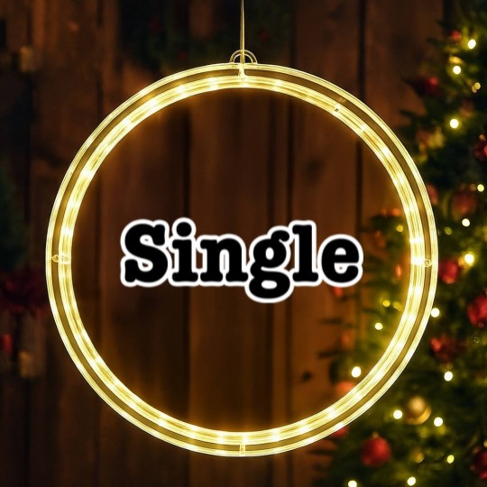 Discover Single - Single - LED Christmas Window Lights