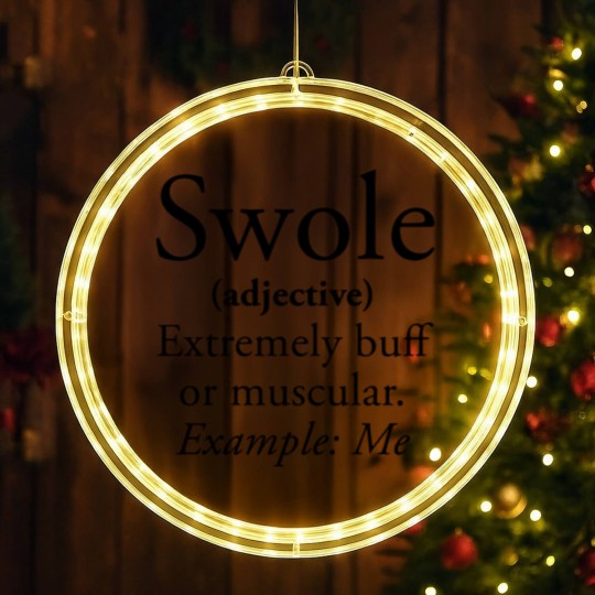 Discover Swole LED Christmas Window Lights