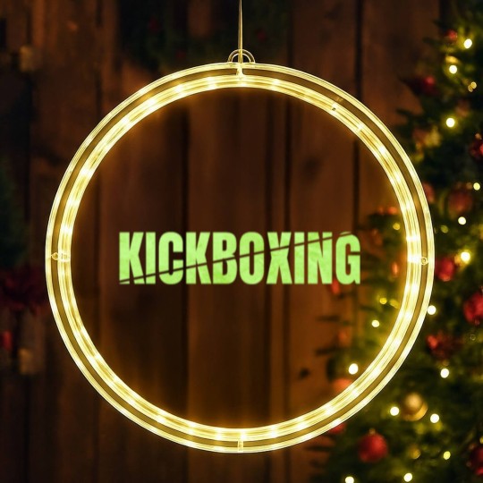 Discover Kickboxing Gift Logo LED Christmas Window Lights