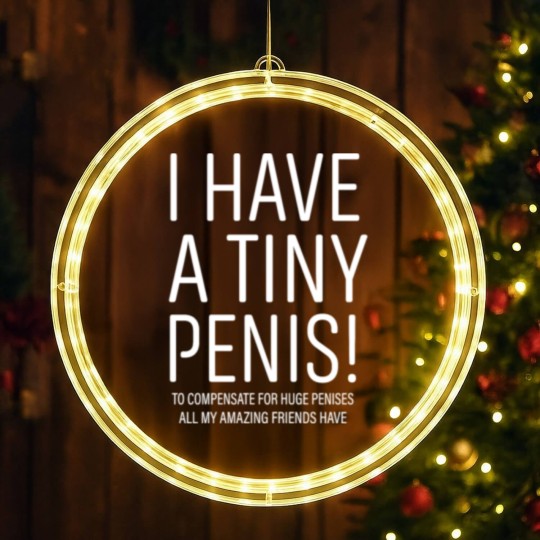 Discover I Have A Tiny Penis LED Christmas Window Lights Bachelor Party LED Christmas Window Lights