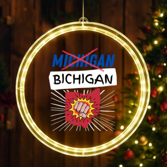 Discover Michigan Bichigan - Ohio State Football - LED Christmas Window Lights