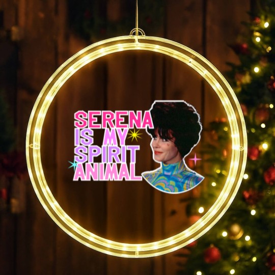 Discover Which Witch is Which - Bewitched - LED Christmas Window Lights