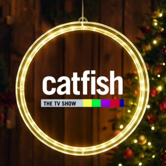 Discover Catfish The TV Show 2 LED Christmas Window Lights