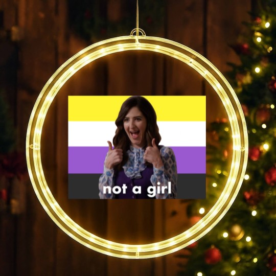 Discover Nonbinary Janet “Not a Girl” (The Good Place) - The Good Place - LED Christmas Window Lights