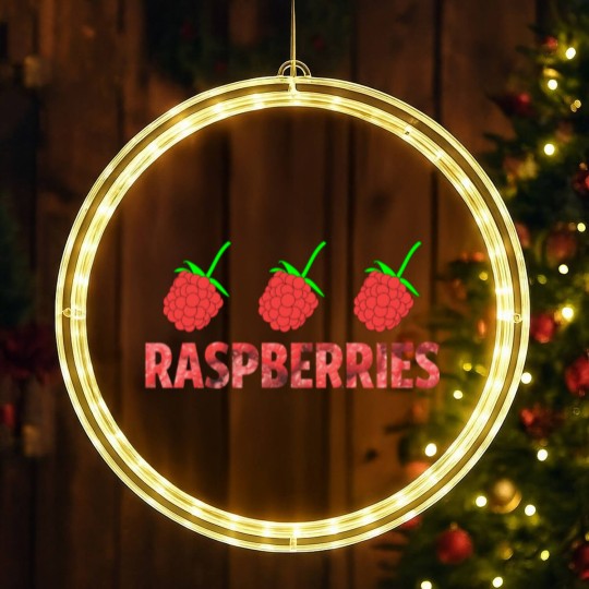 Discover RASPBERRIES LED Christmas Window Lights