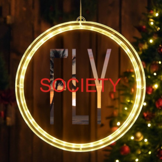 Discover Fly Society Paradise LED Christmas Window Lights