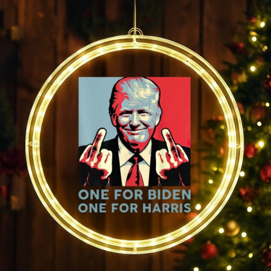 Discover Middle Finger Biden Republican American Flag LED Christmas Window Lights