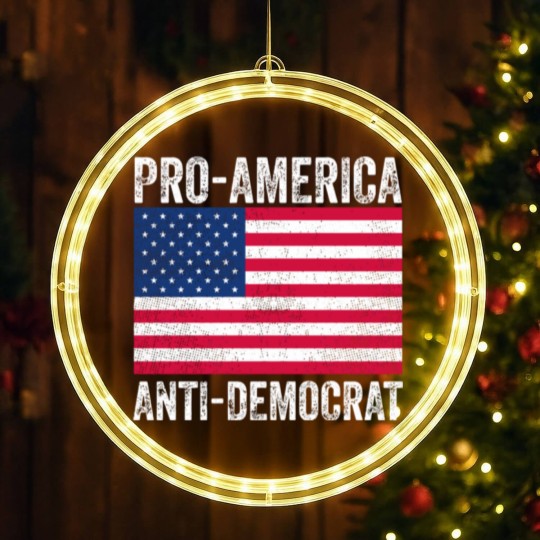 Discover Donkey Pox The Disease Destroying America Funny Donkeypox Classic LED Christmas Window Lights
