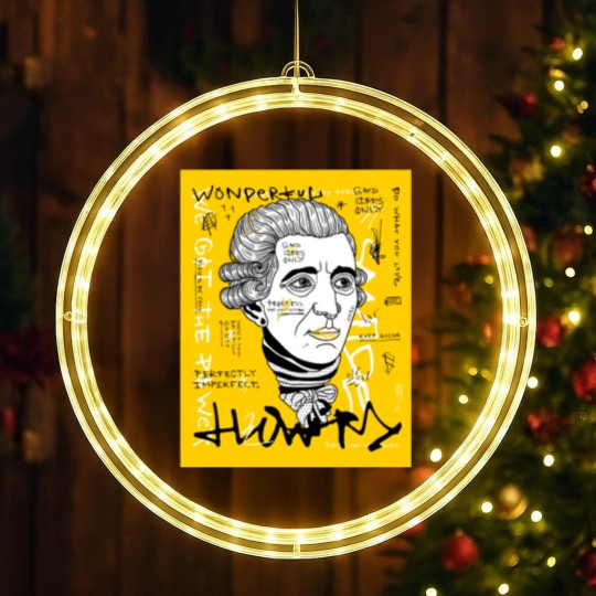 Discover Haydn LED Christmas Window Lights