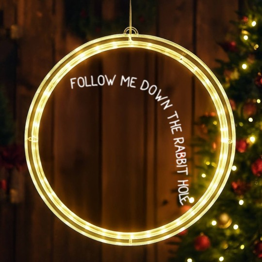 Discover Follow me down the rabbit hole LED Christmas Window Lights