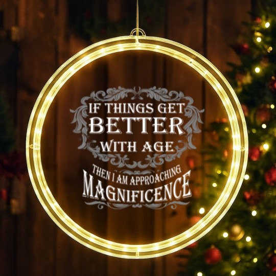 Discover Magnificence - Age LED Christmas Window Lights