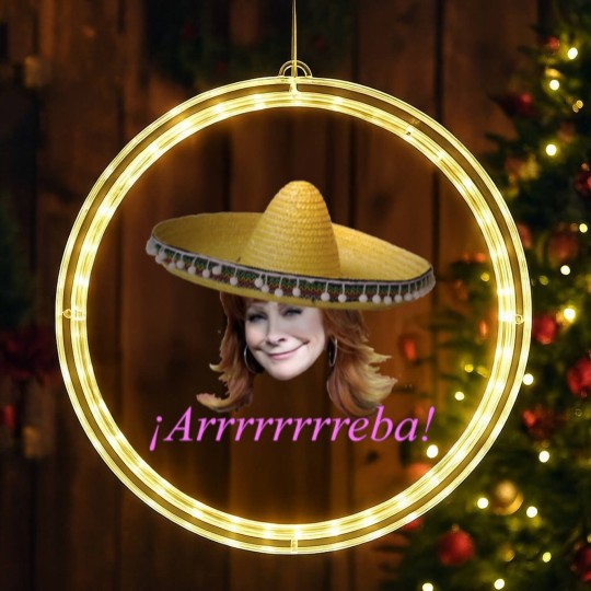 Discover Reba McEntire LED Christmas Window Lights