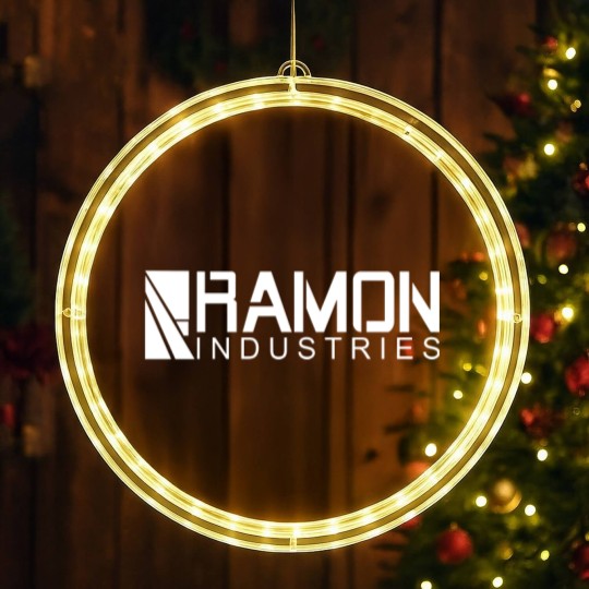 Discover Ramon Industries - The Flash - LED Christmas Window Lights
