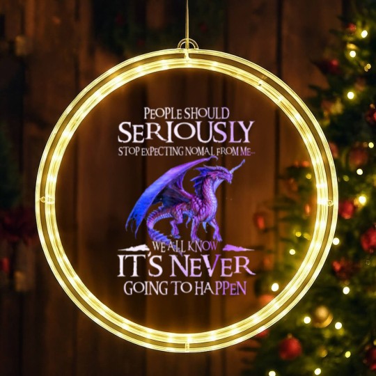 Discover Dragon Seriously Dragon LED Christmas Window Lights For Men Womens LED Christmas Window Lights