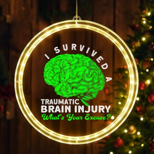 Discover Traumatic Brain Injury People With Brain Injury LED Christmas Window Lights