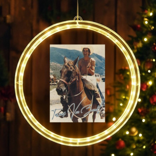 Discover Townes Van Zandt - Retro On Horse Fan Art - Townes Van Zandt - LED Christmas Window Lights