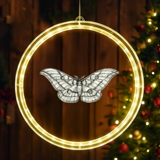 Discover Moth 3 LED Christmas Window Lights