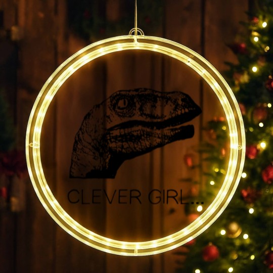 Discover clever girl LED Christmas Window Lights