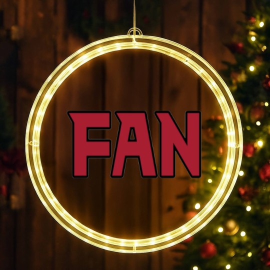 Discover Atlanta LYFE Football SUPER FAN!!! - Atlanta Falcons - LED Christmas Window Lights