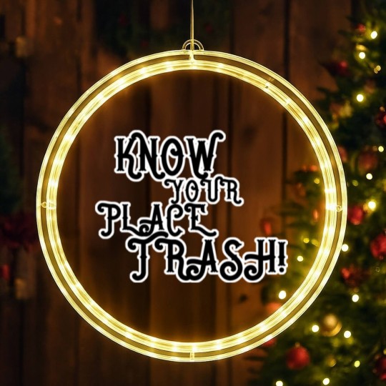 Discover Know Your Place Trash Text - Trash - LED Christmas Window Lights