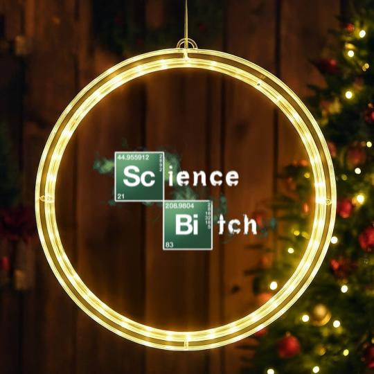 Discover Science, Bitch! - Serie - LED Christmas Window Lights