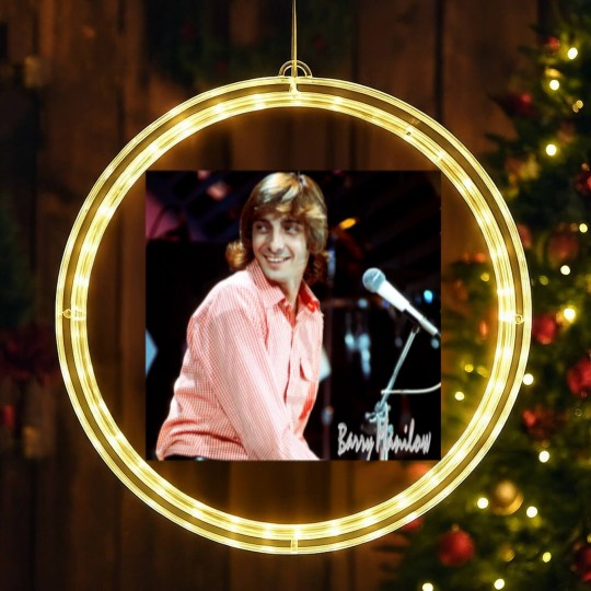 Discover Manilows LED Christmas Window Lights