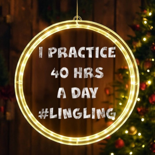 Discover I Practice 40 Hours A Day LED Christmas Window Lights