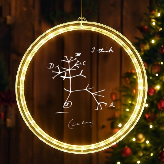 Discover Charles Darwin Evolutionary Tree of Life I Think LED Christmas Window Lights