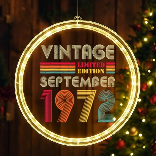 Discover 50 Year Old Vintage September 1972  LED Christmas Window Lights