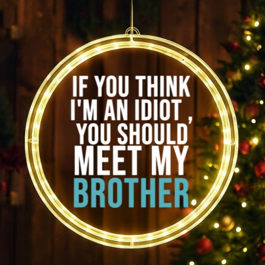 Discover If you think I m an idiot LED Christmas Window Lights