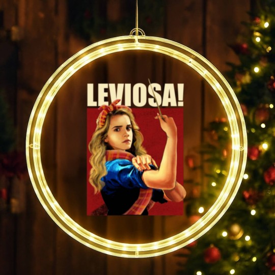 Discover LEVIOSA GRANGER | Essential LED Christmas Window Lights