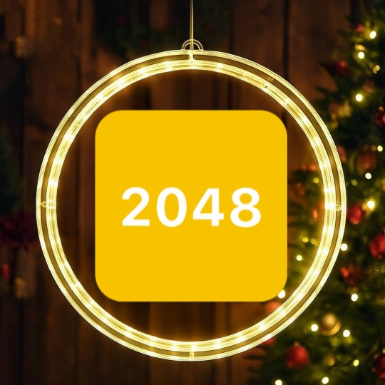 Discover 2048 LED Christmas Window Lights