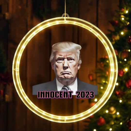 Discover President Donald J. Trump Not Guilty 2023 Indictment LED Christmas Window Lights