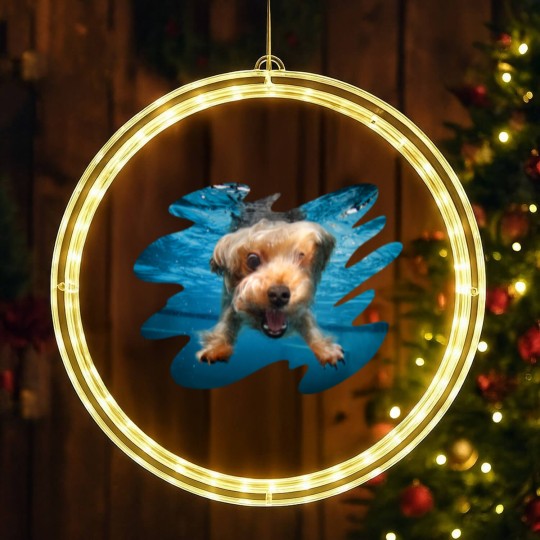 Discover Underwater Dogs Brady by Seth Casteel LED Christmas Window Lights