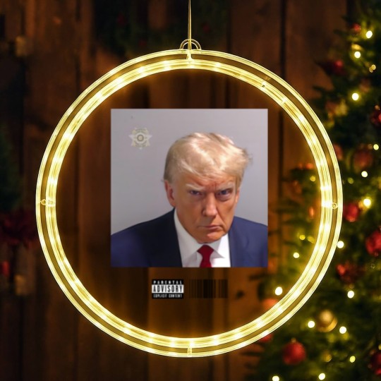 Discover Donald Trump Mugshot LED Christmas Window Lights