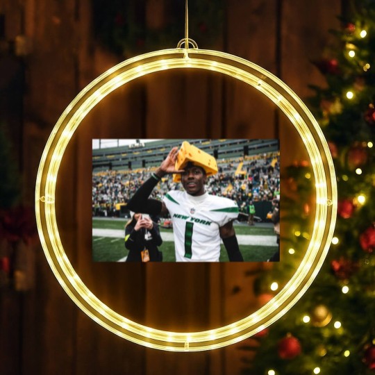 Discover Sauce Cheesehead LED Christmas Window Lights