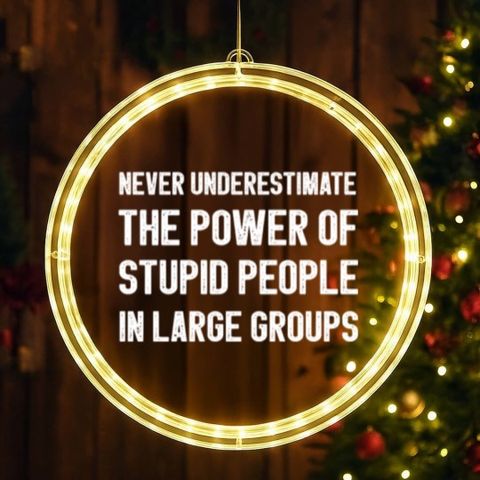 Discover Never Underestimate The Power Of Stupid People LED Christmas Window Lights