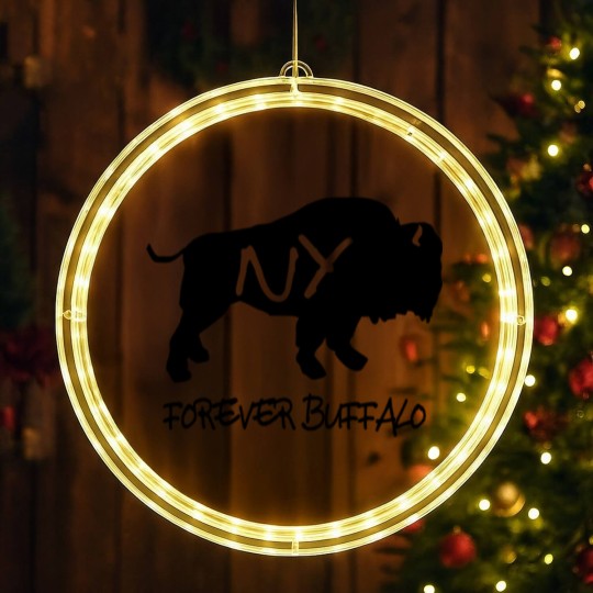 Discover Forever Buffalo NY LED Christmas Window Lights