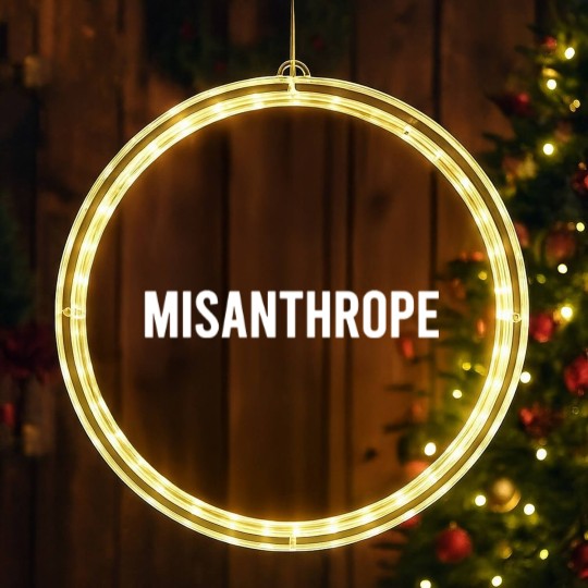 Discover Misanthrope LED Christmas Window Lights
