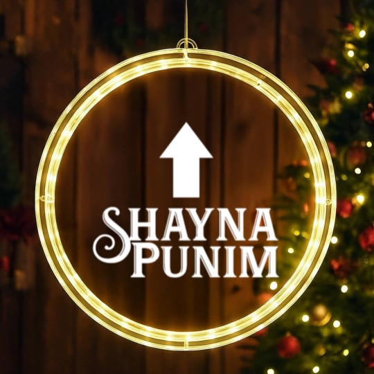 Discover Shayna Punim LED Christmas Window Lights