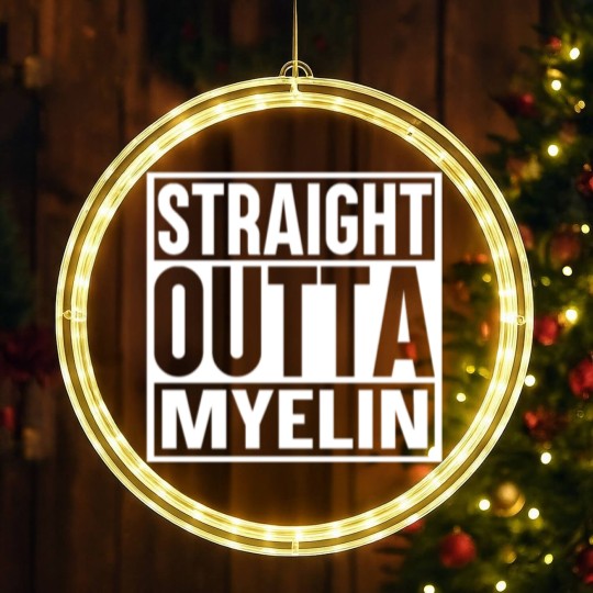 Discover STRAIGHT OUTTA MYELIN LED Christmas Window Lights